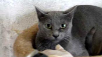Nikita Bild von Nikita