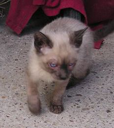 Miguel Bild von Miguel