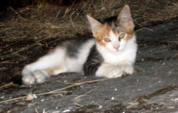 Bild von Jana