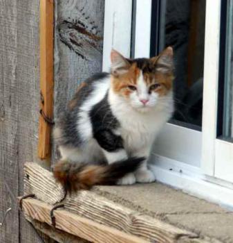 Bild von Jana