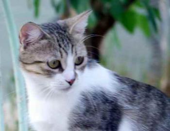 Bild von Miriam