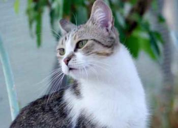 Bild von Miriam