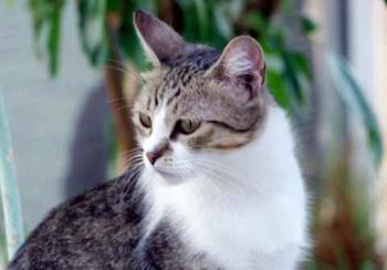 Bild von Miriam