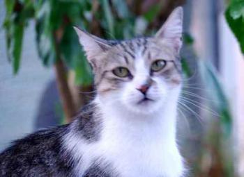 Bild von Miriam