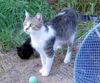 Bild von Miriam