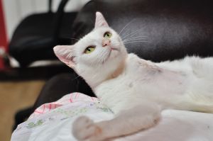 Arwen Bild von Arwen