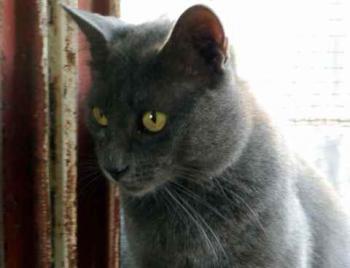 Willy Bild von Willy