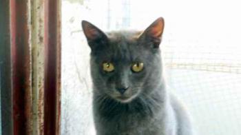 Willy Bild von Willy