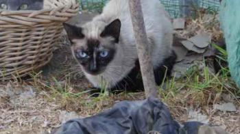 Tina Bild von Tina