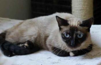 Tina Bild von Tina