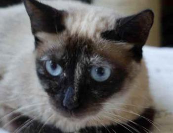 Tina Bild von Tina