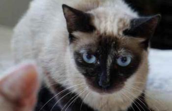 Tina Bild von Tina