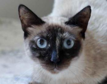 Tina Bild von Tina