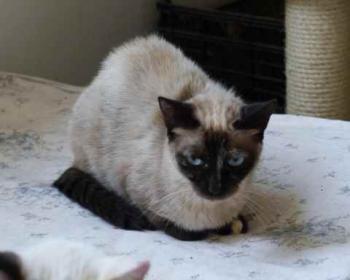 Tina Bild von Tina