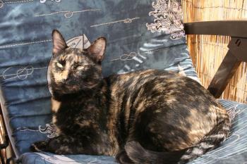 Tina Bild von Tina