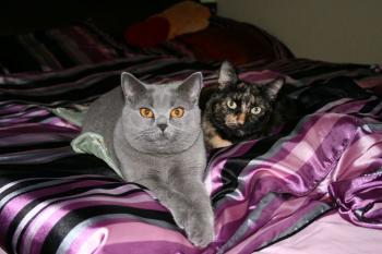 Tina Bild von Tina