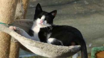 Phil Bild von Phil