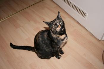 Tina Bild von Tina