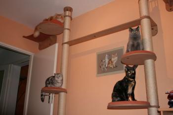 Tina Bild von Tina