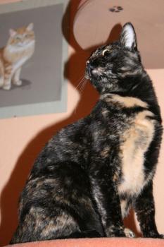 Tina Bild von Tina