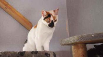 Nena Bild von Nena