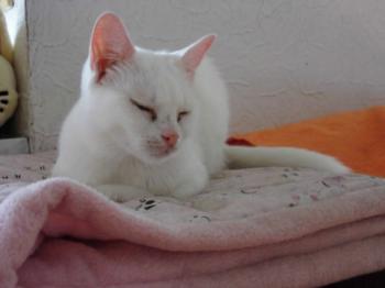 Ayda Bild von Ayda