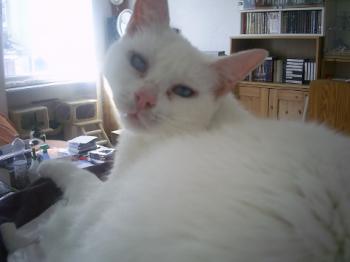 Ayda Bild von Ayda