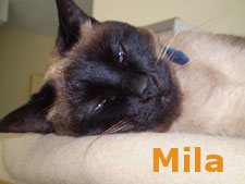 Mila Bild von Mila