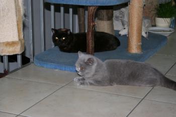 Lady Jule-Luisa Bild von Lady Jule-Luisa
