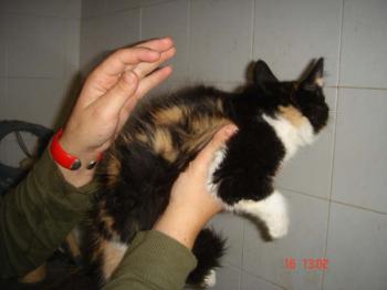 Bild von Melly