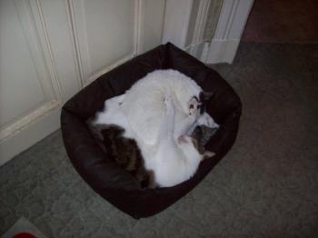 Cuqui Bild von Cuqui