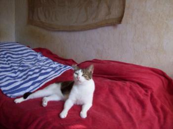 Cuqui Bild von Cuqui
