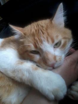 Curro Bild von Curro