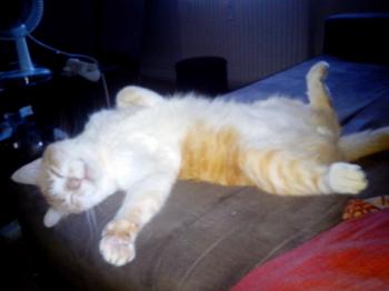 Curro Bild von Curro