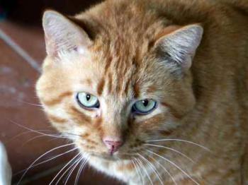 Camillo Bild von Camillo