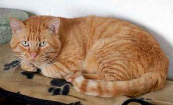 Camillo Bild von Camillo