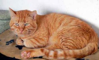 Camillo Bild von Camillo