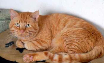 Camillo Bild von Camillo