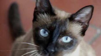 Shari Bild von Shari