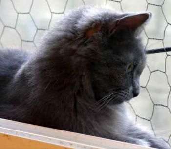 Bild von Yasmin