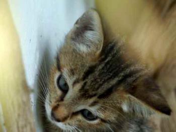 Liese Bild von Liese