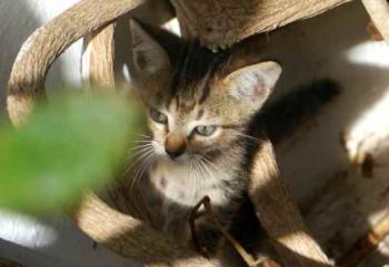 Liese Bild von Liese