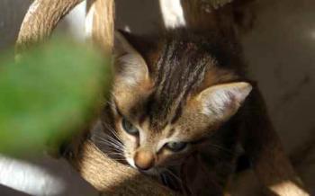 Liese Bild von Liese