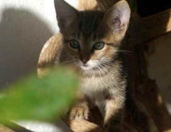 Liese Bild von Liese