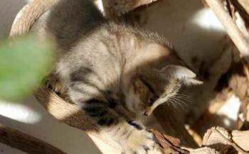 Liese Bild von Liese
