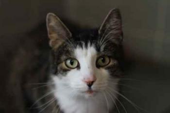 Bild von Brunhilde