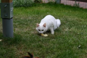 Blanca Bild von Blanca