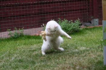 Blanca Bild von Blanca