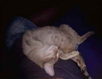 Bild von Jack