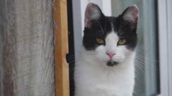 Blacky Bild von Blacky